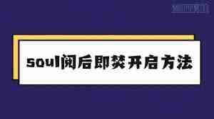 soul阅后即焚功能在哪里-soul阅后即焚的位置在哪