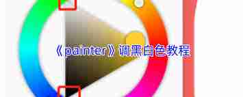 painter如何调成黑白-painter怎样设置成黑白