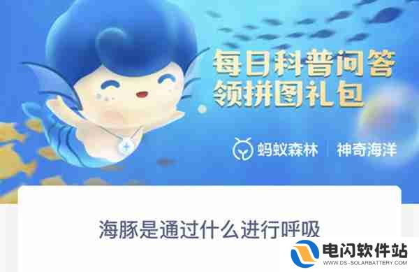 支付宝神奇海洋海豚是通过什么进行呼吸的