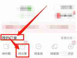 拼多多已发起的拼单如何取消-拼多多已发起的拼单怎样取消